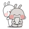 Couple Rabbit 5