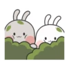 Couple Rabbit 6