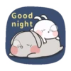 Couple Rabbit 7