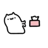 Mr Q Cat 2 💖 MOV 12