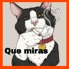 Gatos😺💞1🇵🇪Movi 7