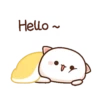 peach cat 7