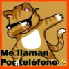 Gatos😺💞1🇵🇪Movi 9
