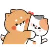 💈Shiba &Bear &Cat & Rabbit💈 7