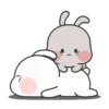 Couple Rabbit 9