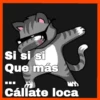 Gatos😺💞1🇵🇪Movi 11