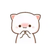 peach cat 9
