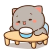 MOCHIS🐈CAT Especial I MOV 9