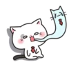 White Cat 5