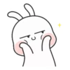 Couple Rabbit 10