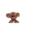 Hacker T dog & Dodge @Mycute_stickers 9
