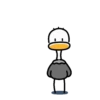 Ostrich Tajo Duck 💖 MOV 7