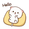 AW Cute Cat - Peach and Goma 12