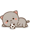 MOCHIS🐈CAT Especial I MOV 12