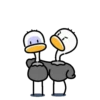 Ostrich Tajo Duck 💖 MOV 9