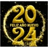 🎉🎇 hAppч nEw чEAr 2024 🎇🎉 16
