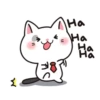 White Cat 7
