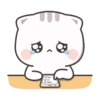 Cute Little Mochi 11