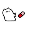 Mr Q Cat 2 💖 MOV 17