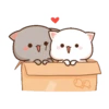 peach cat 11