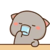 MOCHIS🐈CAT Especial I MOV 13