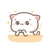 peach cat 12