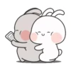 Couple Rabbit 14