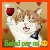 Gatos😺💞1🇵🇪Movi 15