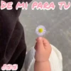 👶🏻Cutes Babys Mov 19