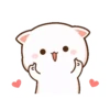 peach cat 16