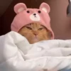 Animals 21