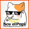 Gatos😺💞1🇵🇪Movi 16