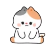 💈Shiba &Bear &Cat & Rabbit💈 14
