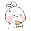 Couple Rabbit 15