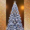 Pino Navideño🎄🌟Movi🇲🇽 13