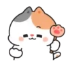 💈Shiba &Bear &Cat & Rabbit💈 15
