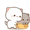 MOCHIS🐈CAT Especial I MOV 16