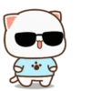 MOCHIS🐈CAT Especial I MOV 17