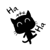 Black & White Kitty 12