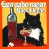 Gatos😺💞1🇵🇪Movi 19