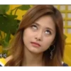 Twice o las dos veces kpop 10
