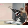 cat unic mass 19