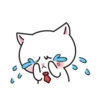 White Cat 9