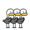 Ostrich Tajo Duck 💖 MOV 13
