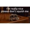 Meme Cartoons 10