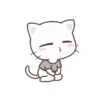 Black & White Kitty 13