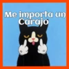 Gatos😺💞1🇵🇪Movi 21