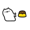 Mr Q Cat 2 💖 MOV 21