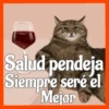 Gatos😺💞1🇵🇪Movi 22
