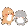 💈Shiba &Bear &Cat & Rabbit💈 17